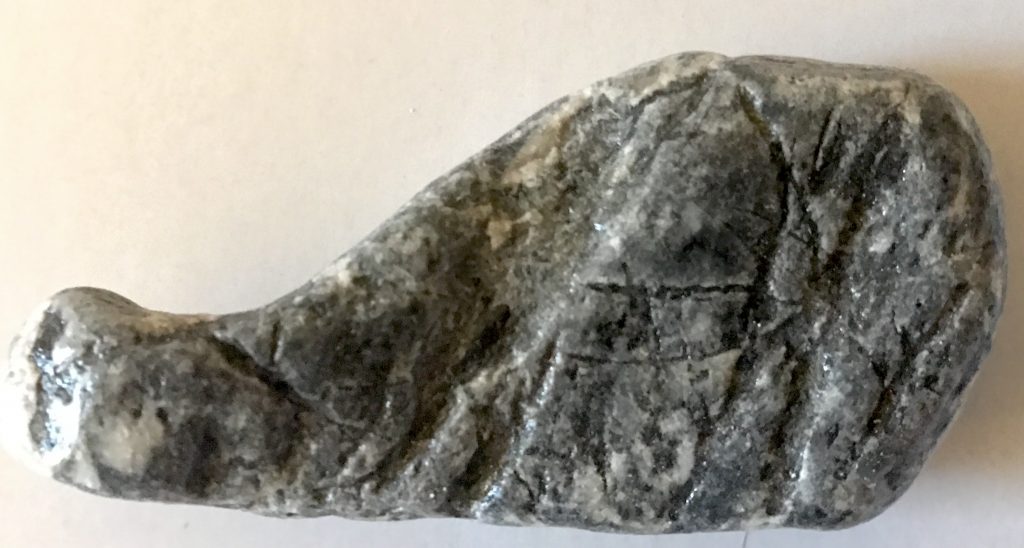 Whale shaped rock from Alaska