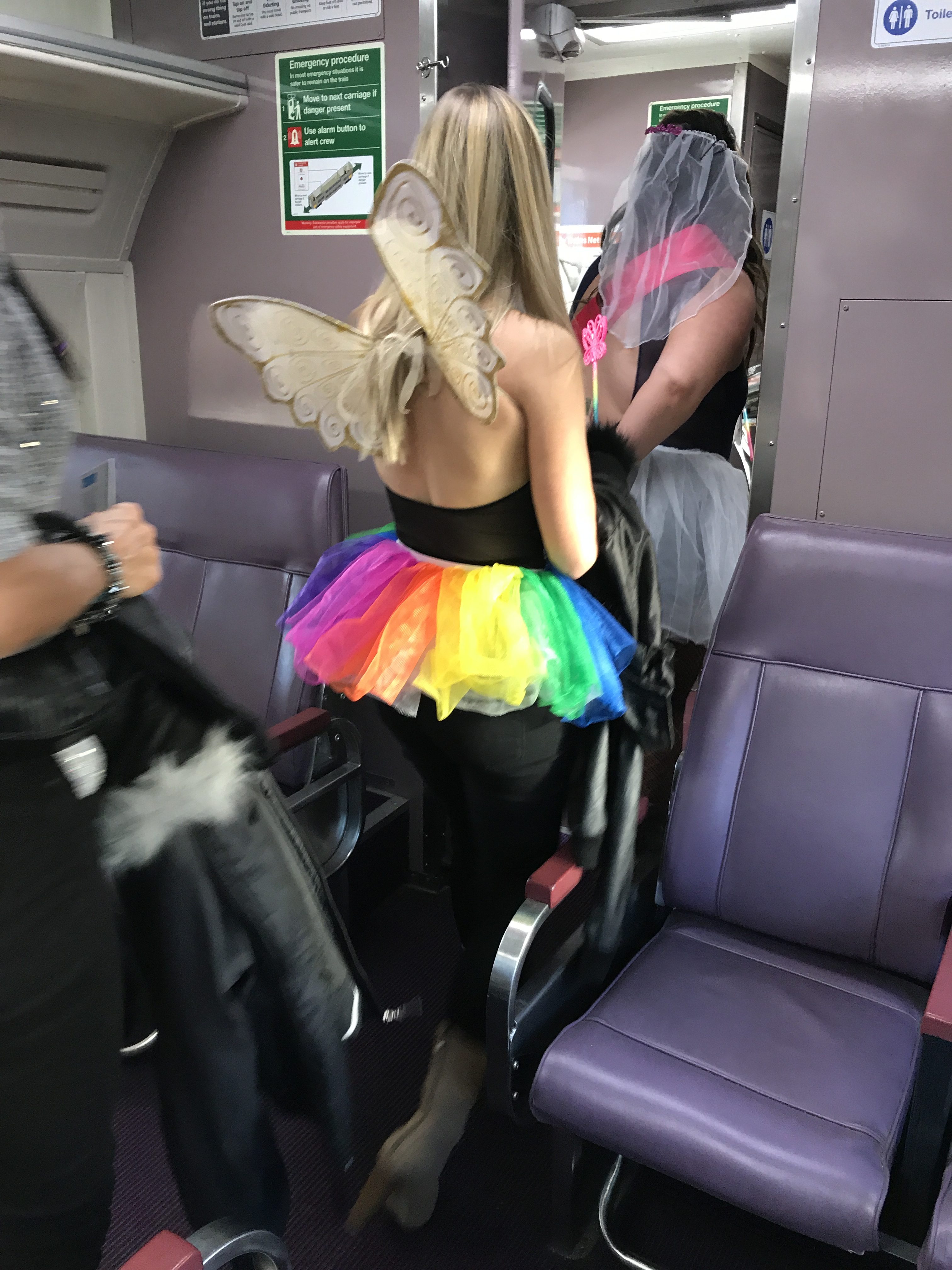 Bachelorette Party on the Train